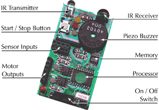 Crickets About The Cricket Modules Buzzing is picking pockets so presumably a buzzer would be someone who steals on the sly worker wasps are called 'wazzers'. kaiser media de